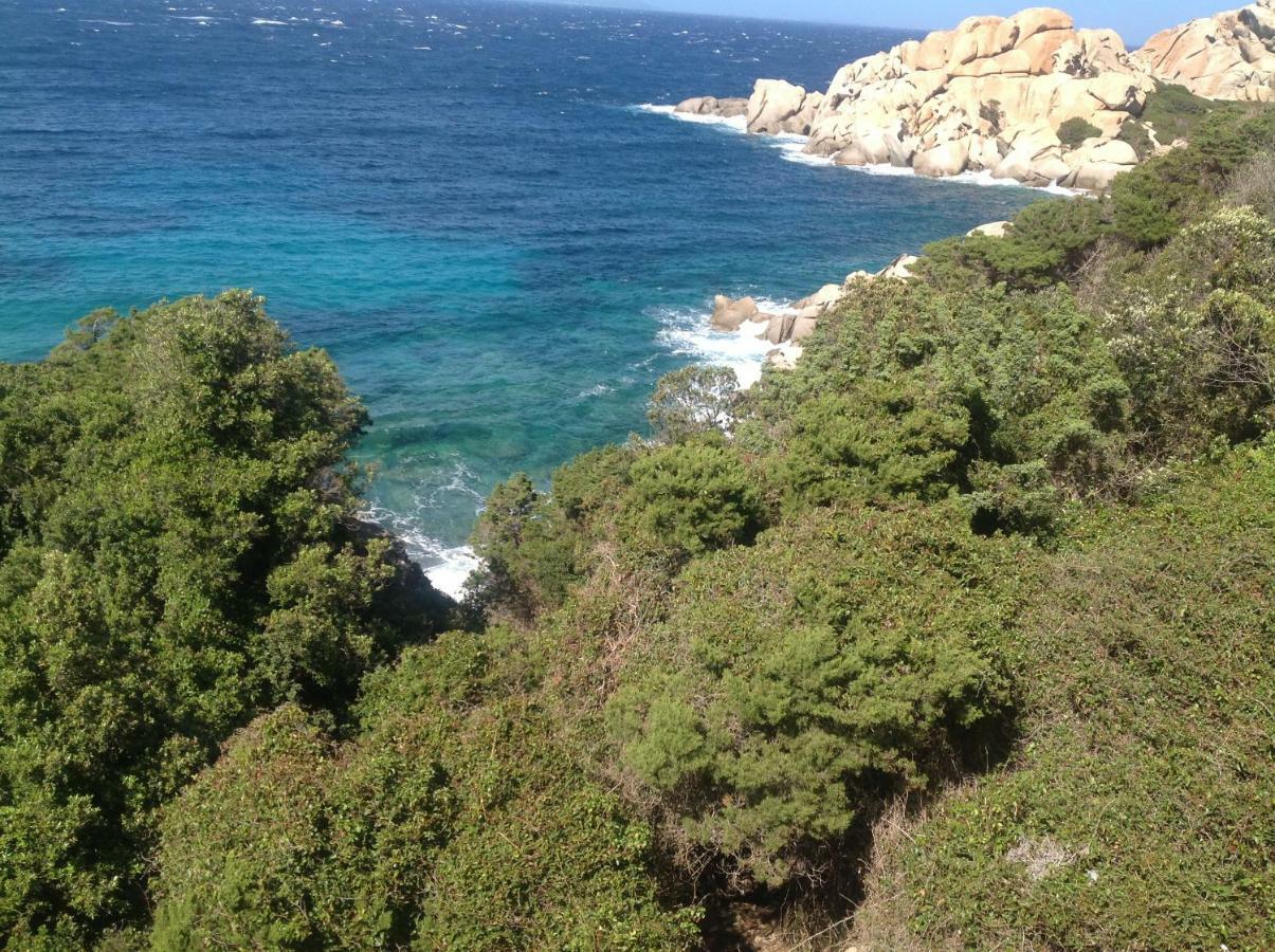 Stella Maris Lejlighed Santa Teresa Gallura Eksteriør billede